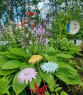 Blomst - turkis thumbnail